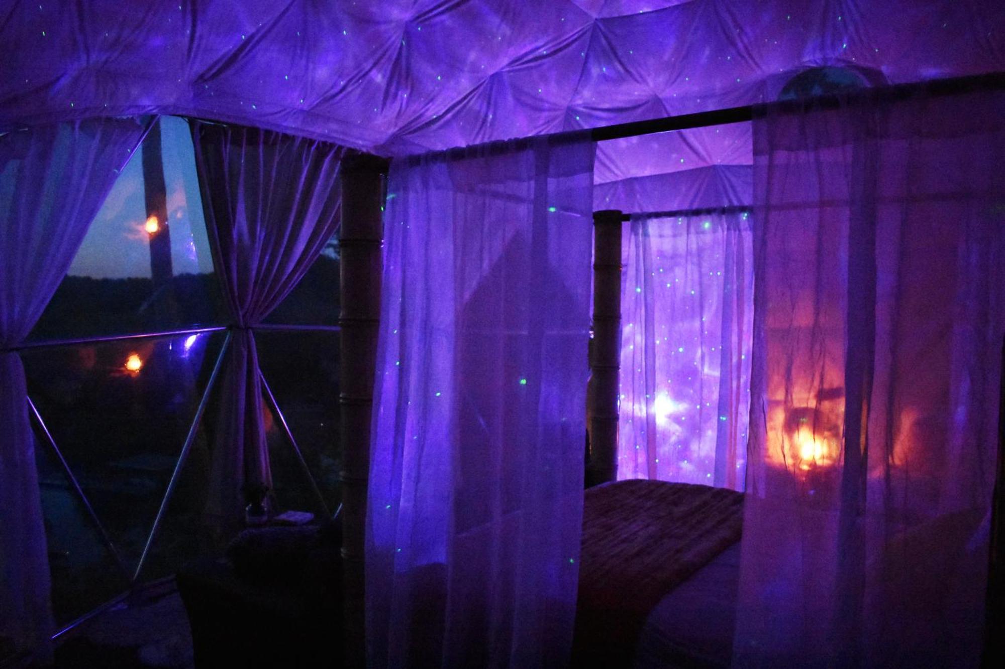 Hotel Waterfront Luxury Glamping Dome Rogersville Exterior foto